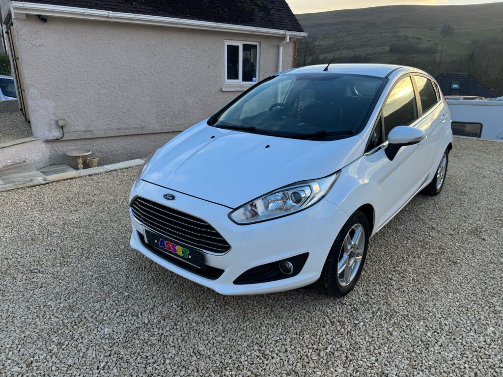 Ford Fiesta 1.0L 2013
